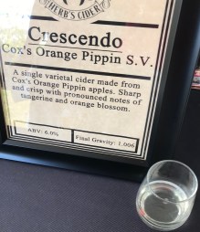 Photo Jul 29, 3 40 28 PM